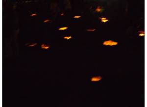 the beach was covered with candles in holes